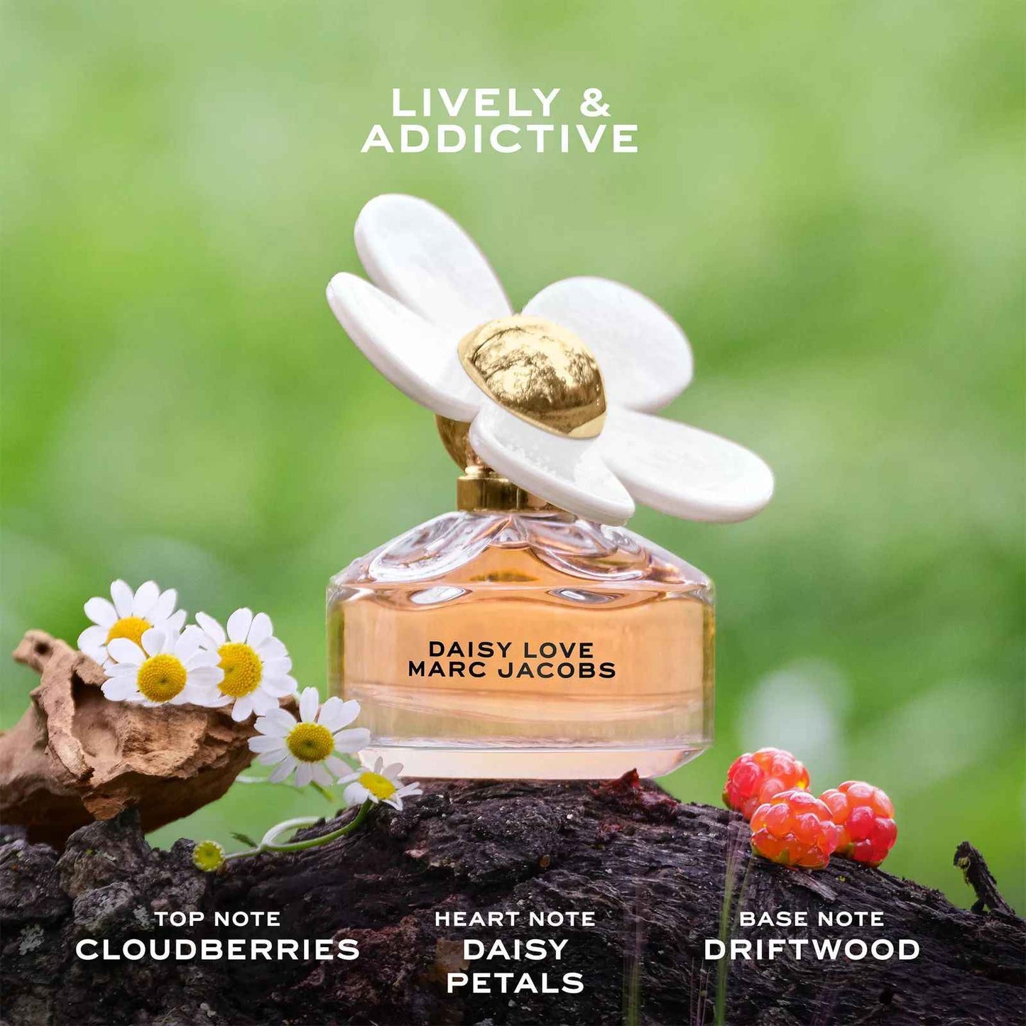 Daisy Love Perfume Eau Toilette 3.4oz