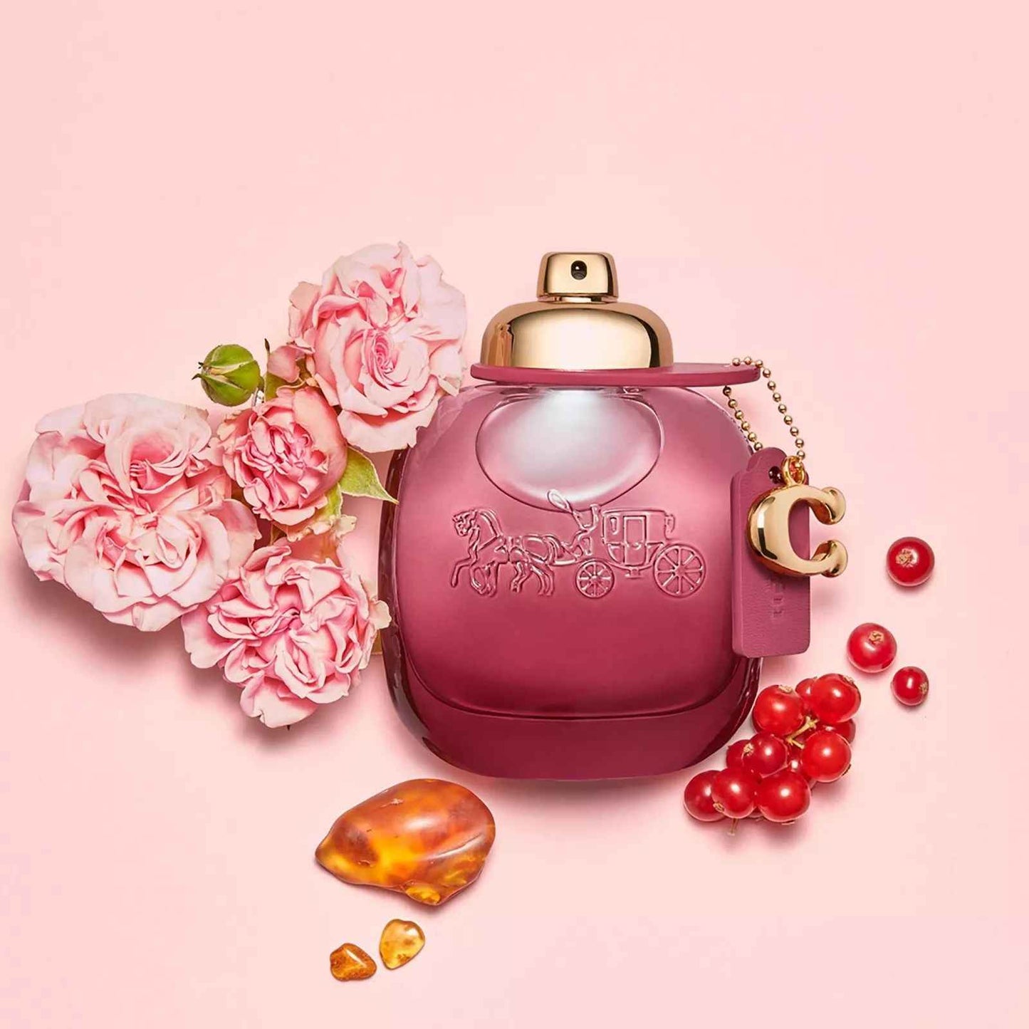 Coach Wild Rose 3.0oz