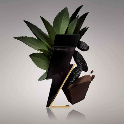 Bad Boy 5.1oz Eua de Toilette