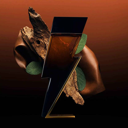 Bad Boy Elixir 3.4oz Eau De Parfum